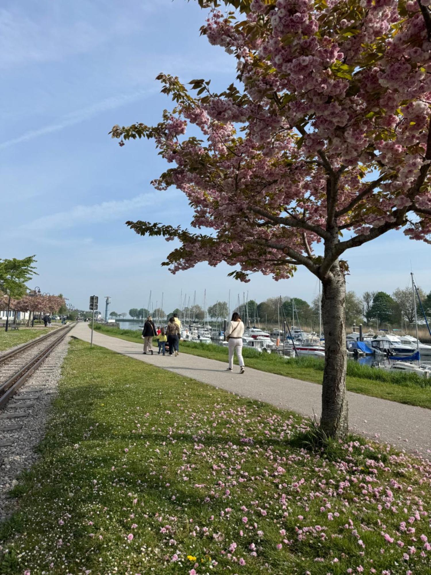 Le Gîte du Flot - Baie de Somme Boismont  Extérieur photo